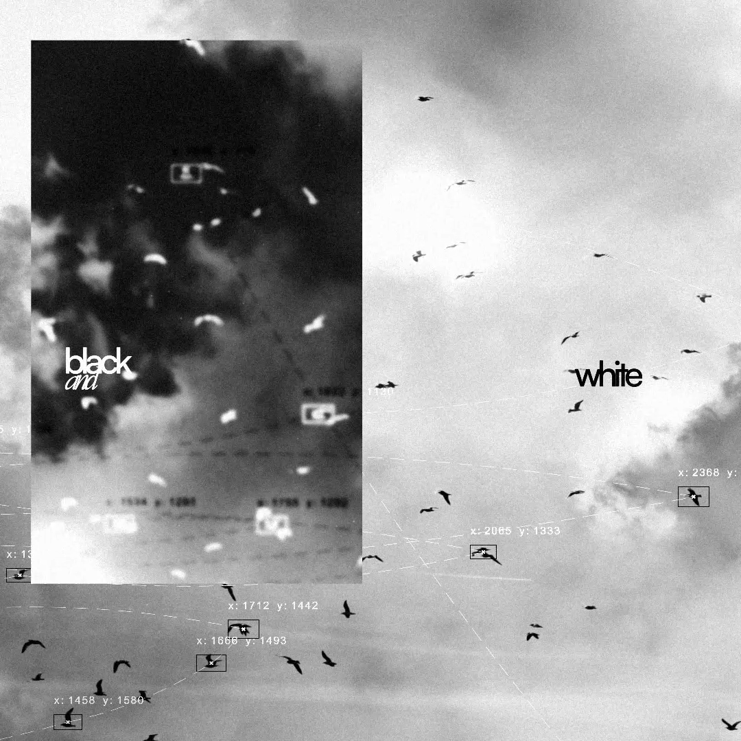 B&W ( Drum Kit )